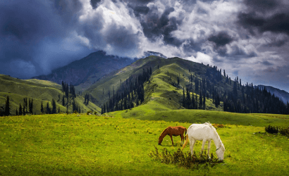 shogran-valley-tour